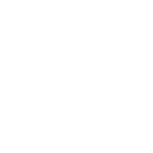chimney-icon-white chimney-icon-white
